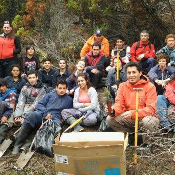 Esquel, árbol, ecología, escuela