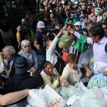 verdura, Plaza de Mayo, productores