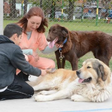 zooterapia, animales, salud, autismo