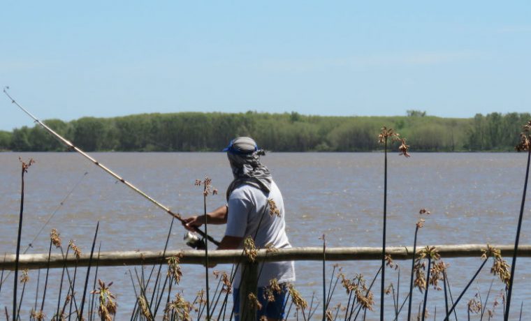 pesca, río Uruguay, ecología, Entre Ríos