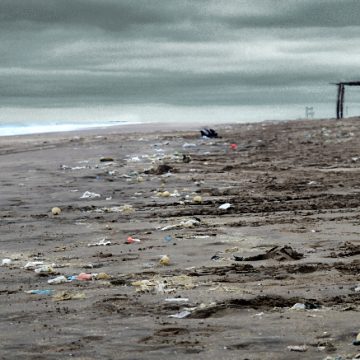 plastico, ecología, contaminación, UBA, océano