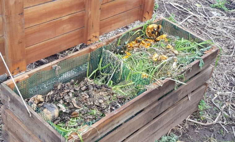 compostaje, Córdoba, Corral de Bustos, ecología