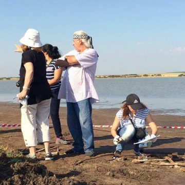 La Pampa, cultura, arqueología