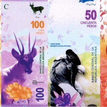 billetes, animales, cóndor