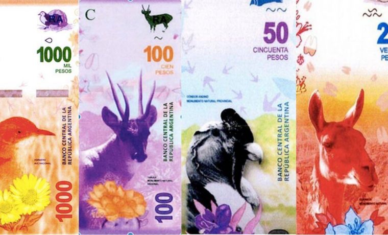 billetes, animales, cóndor