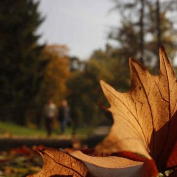 otoño, calor, clima, pronóstico