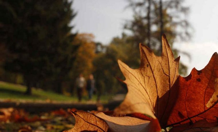 otoño, calor, clima, pronóstico