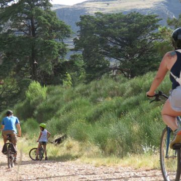 bicicleta, Día de la Bicicleta, salud