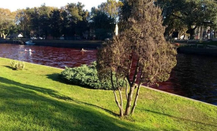 Delta, agua, contaminación, Tigre