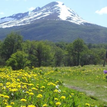 Parque_Tierra_del_Fuego_2015