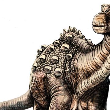 dinosaurio, CONICET, ciencia