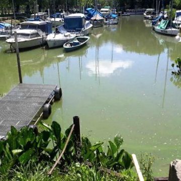 bacteria, salud, Paraná, Río de la Plata, contaminación