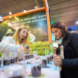 misiones expo te 3